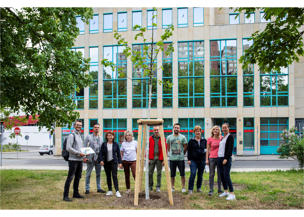 Umweltschutz mit Symbolcharakter - Mitarbeiter:innen spenden Baum