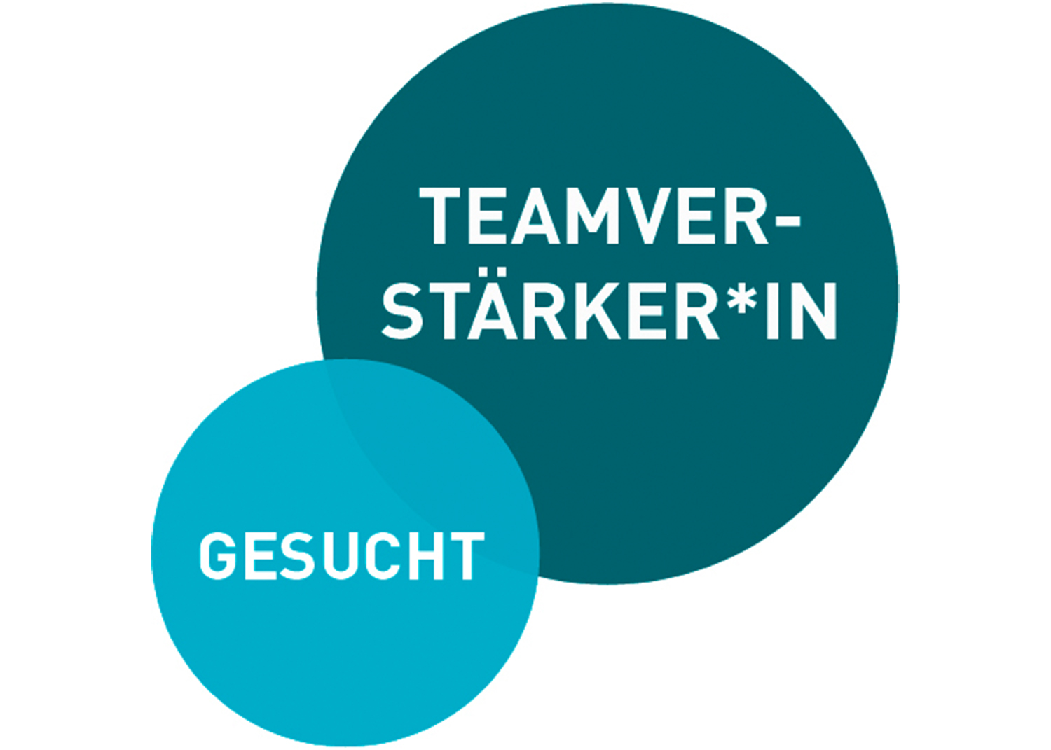Wir stellen ein - Teamverstärkung gesucht
